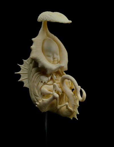 【原創授權】滄溟工作室-捕蠅蟲1