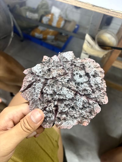 【海賊王】覺醒工作室-扛旗路飛6