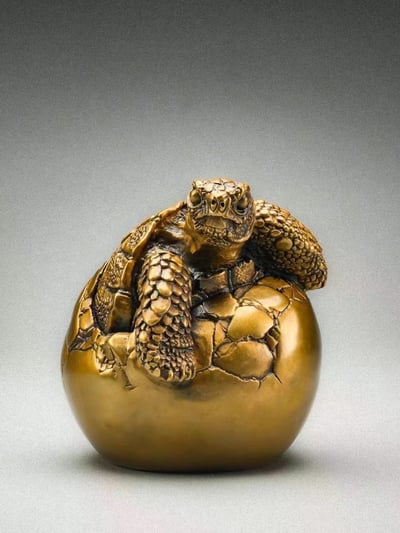 【動物爬蟲】博物誌-加拉巴哥象龜 幼龜破殼5