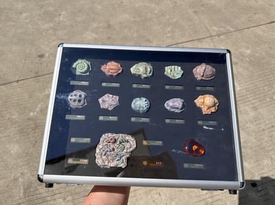 【寶可夢】百景屋-寶可夢化石套2