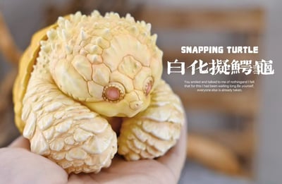 【爬蟲動物】博物誌-2024噸噸動物園龜系列7