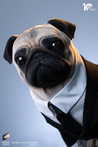 【正版授權】開天工作室－黑衣人2 1/1 Frank13