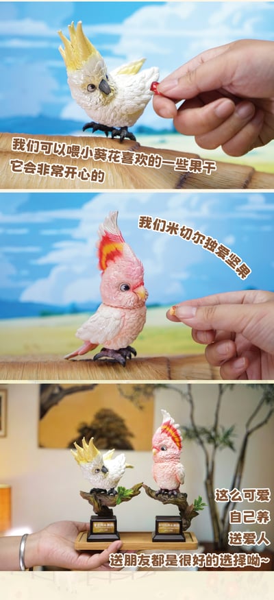 【原創授權】傑刻動漫 x 動物幫-啥鳥？系列 第三彈 小葵花鸚鵡&米切爾鸚鵡7