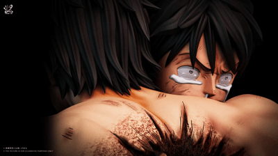 【海賊王】Dream Lab 夢工坊-名場面系列 第六彈 艾斯路飛頂上訣別6