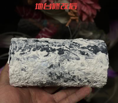 【海賊王】大熊社-達斯琪（斯摩格互換身體版）5