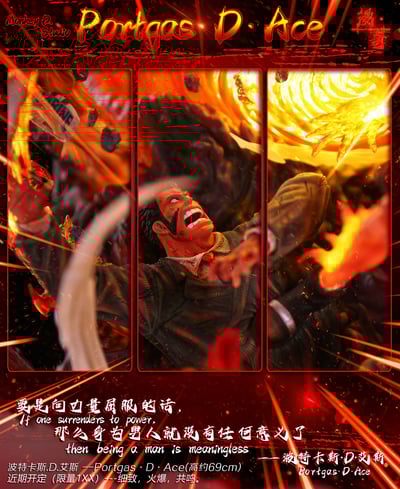 【海賊王】漫奇工作室-海賊王系列 火之意志 波特卡斯.D.艾斯7