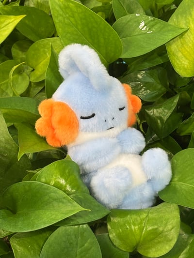 【寶可夢】主意玩家-毛絨手作睡眠系列 水躍魚4