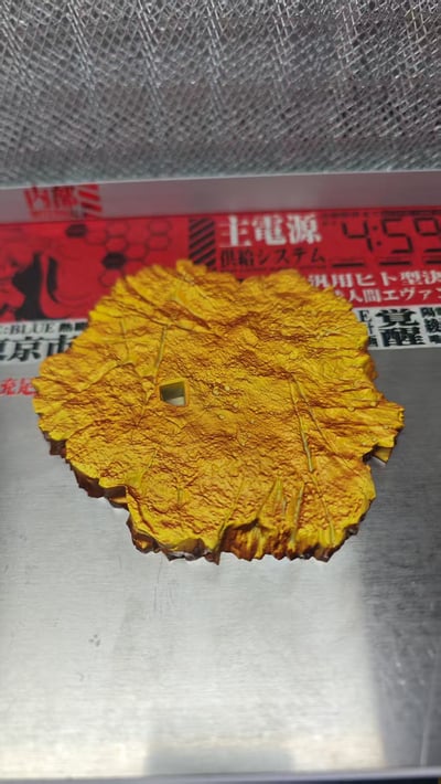 【海賊王】龍虎工作室-CP0 第七彈 地下六王 第一彈 斯圖西6