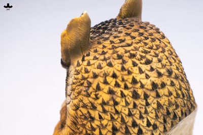 【正版授權】JXK－Statue Aura 長耳鴞頭雕5