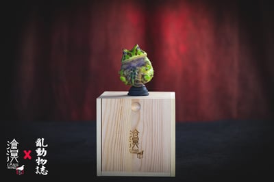 【原創授權】滄溟工作室-角蛙與蝌蚪6