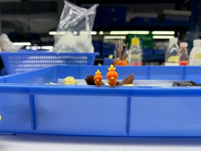 【寶可夢】SK工作室-生態系列 火伊布進化組5