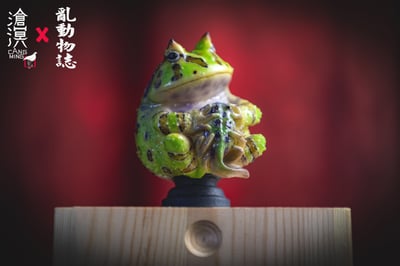 【原創授權】滄溟工作室-角蛙與蝌蚪4