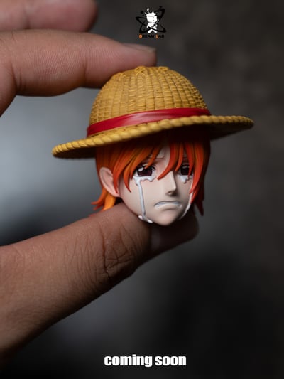 【海賊王】Dream Lab Studio 夢工坊-哭泣娜美8