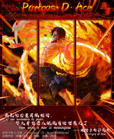 【海賊王】漫奇工作室-海賊王系列 火之意志 波特卡斯.D.艾斯1