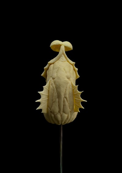 【原創授權】滄溟工作室-捕蠅蟲6