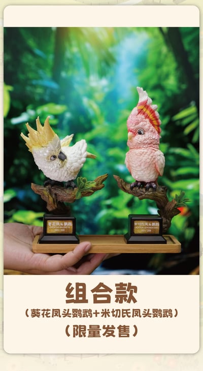 【原創授權】傑刻動漫 x 動物幫-啥鳥？系列 第三彈 小葵花鸚鵡&米切爾鸚鵡11