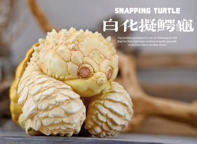 【爬蟲動物】博物誌-2024噸噸動物園龜系列6