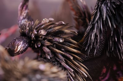 【魔物獵人】龍之邊境工作室DragonFrontierStudio－殲世滅盡龍 VS 天地煌啼龍10