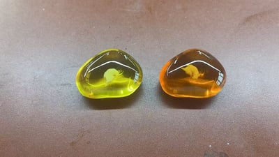 【寶可夢】百景屋-寶可夢化石套3