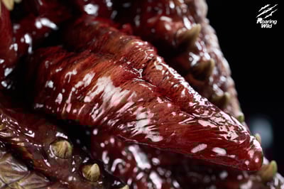 【魔物獵人】Roaring Wild Studio-第一款 頭雕系列8