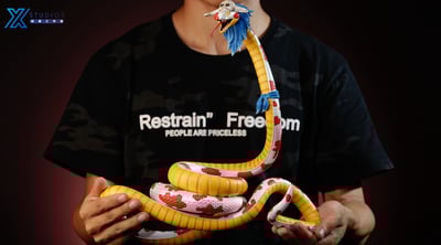 【海賊王】嶼星工作室-王下七武海 第一彈 波雅•漢庫克5