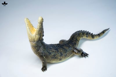 【正版授權】JXK－荒灘巨鱷2