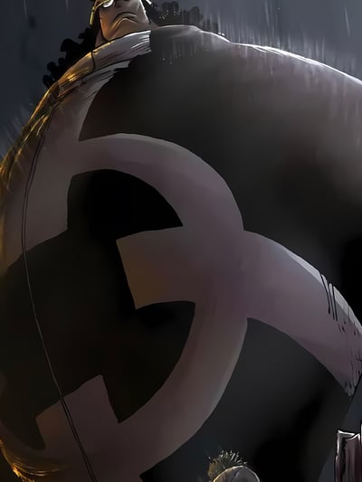 【週邊】星空工作室－海賊王 索隆vs大熊 裝飾畫4