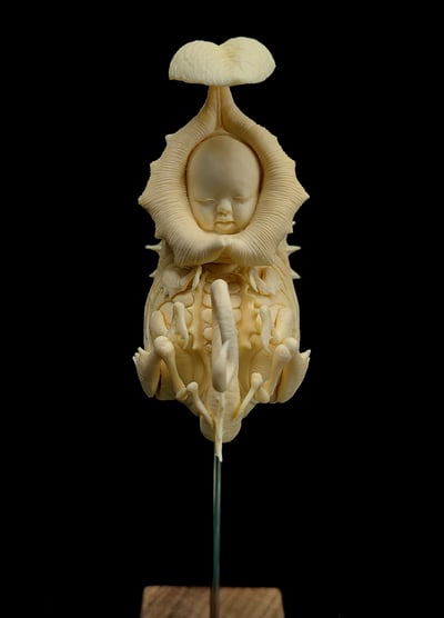 【原創授權】滄溟工作室-捕蠅蟲5