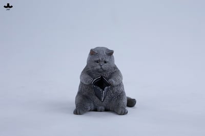 【正版授權】JXK－錢包空空貓18