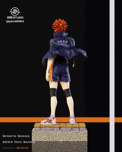 【排球少年】缺氧工作室-排球少年 第一彈 日向翔陽10