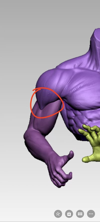 【海賊王】Zoro x 金山-兩年後索隆6
