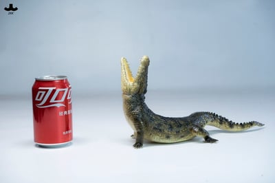 【正版授權】JXK－荒灘巨鱷12