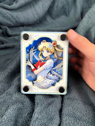 【週邊】萌萌匠-美少女戰士水冰月月野兔3D立體卡磚擺台裝飾畫3