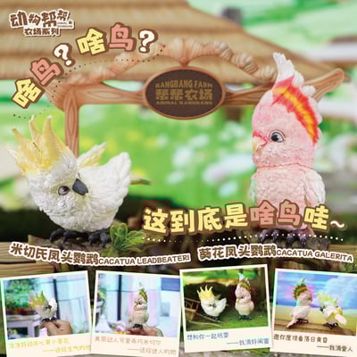 【原創授權】傑刻動漫 x 動物幫-啥鳥？系列 第三彈 小葵花鸚鵡&米切爾鸚鵡1