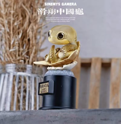 【爬蟲動物】博物誌-2024 遠古爬寵 復活計劃9