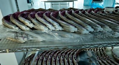 【咒術迴戰】ATT-現代最強”五條悟15