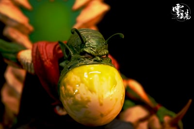 【七龍珠】雲端工作室－比克2