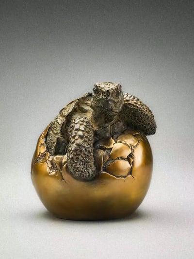 【動物爬蟲】博物誌-加拉巴哥象龜 幼龜破殼6