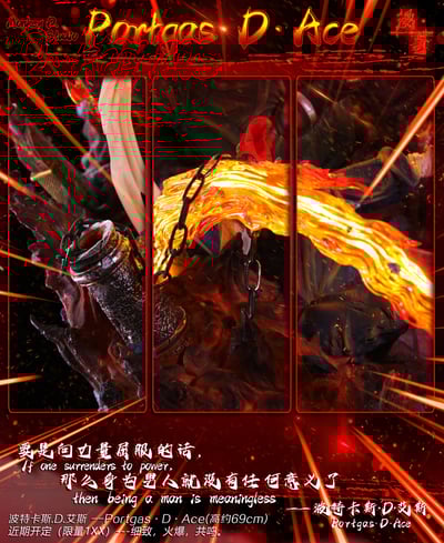 【海賊王】漫奇工作室-海賊王系列 火之意志 波特卡斯.D.艾斯6