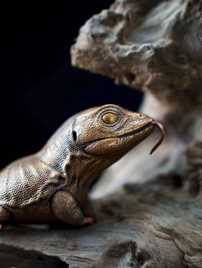 【動物爬蟲】博物誌-蜥蜴系列第七彈 金頭巨澤蜥3