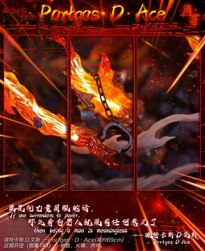 【海賊王】漫奇工作室-海賊王系列 火之意志 波特卡斯.D.艾斯8