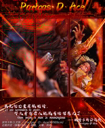 【海賊王】漫奇工作室-海賊王系列 火之意志 波特卡斯.D.艾斯11