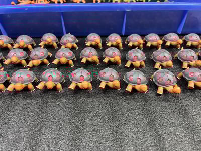 【寶可夢】OL工作室-第一彈 煤炭龜（海外現貨）5