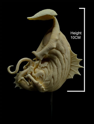 【原創授權】滄溟工作室-捕蠅蟲8