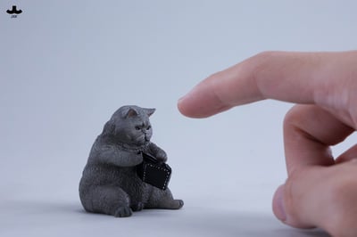 【正版授權】JXK－錢包空空貓23