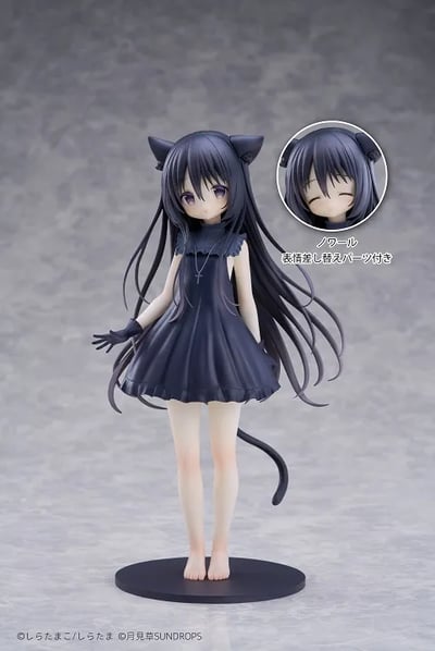 【正版授權】月見草 SUNDROPS-諾瓦&狩葉&風又音理2