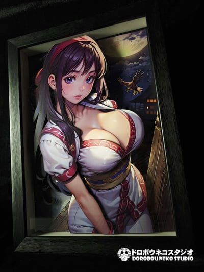 【週邊】泥棒貓工作室-侍魂 娜可露露 立體裝飾畫4