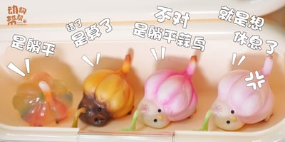 【原創授權】動物幫-農場系列 蒜鳥蒜鳥沒什麼大不了 躺平版（海外現貨）16