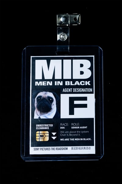 【正版授權】開天工作室－黑衣人2 1/1 Frank16