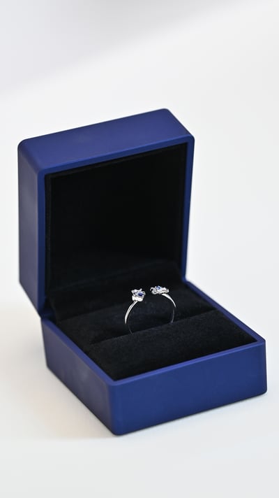 【崩壞】Hyperion工作室－花嫁鴨鴨11